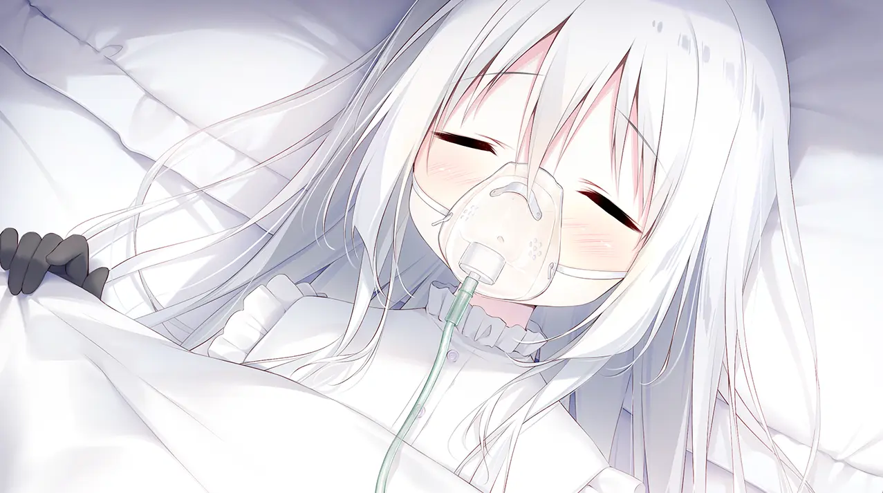 星空列车与白的旅行（安卓直装＋PC端）