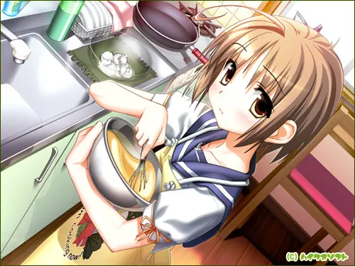 四叶草 – よつのは（KRKR＋PC端）