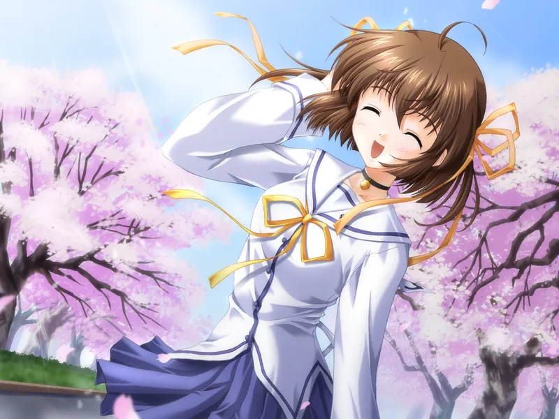 图片[14]-初音岛D.C. P.C.（PC端） | 羽翼社-羽翼社