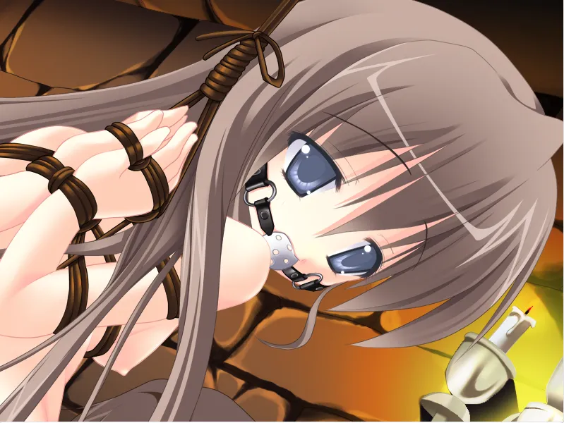 图片[2]-超级调教师J（KRKR＋PC端） | 羽翼社-羽翼社