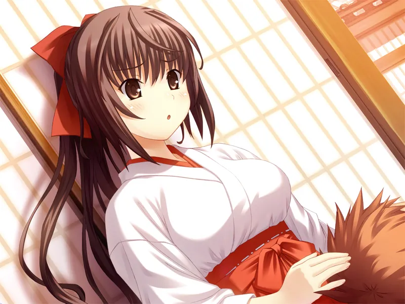 图片[5]-坂上台风（PC端） | 羽翼社-羽翼社