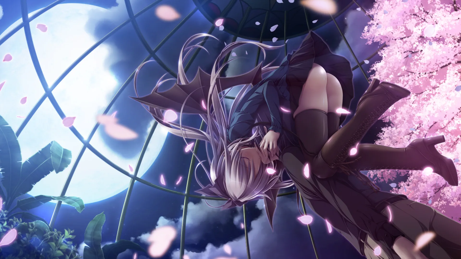 图片[13]-青鸟（PC端） | 羽翼社-羽翼社