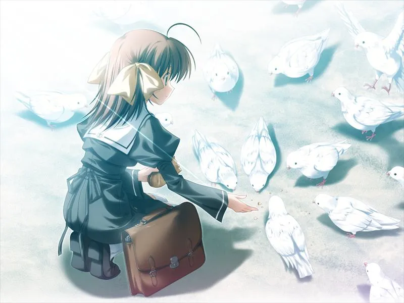 ef – the first tale/悠久之翼_前篇（Ons＋PC端）