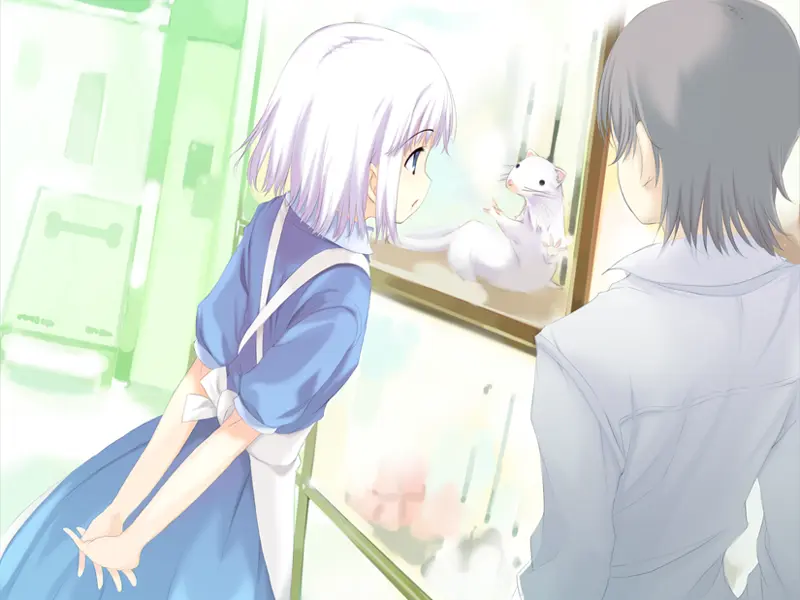 梦见之药（Ons＋PC端）