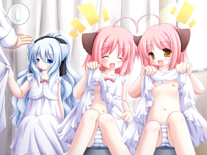 猫猫病院（PC端）