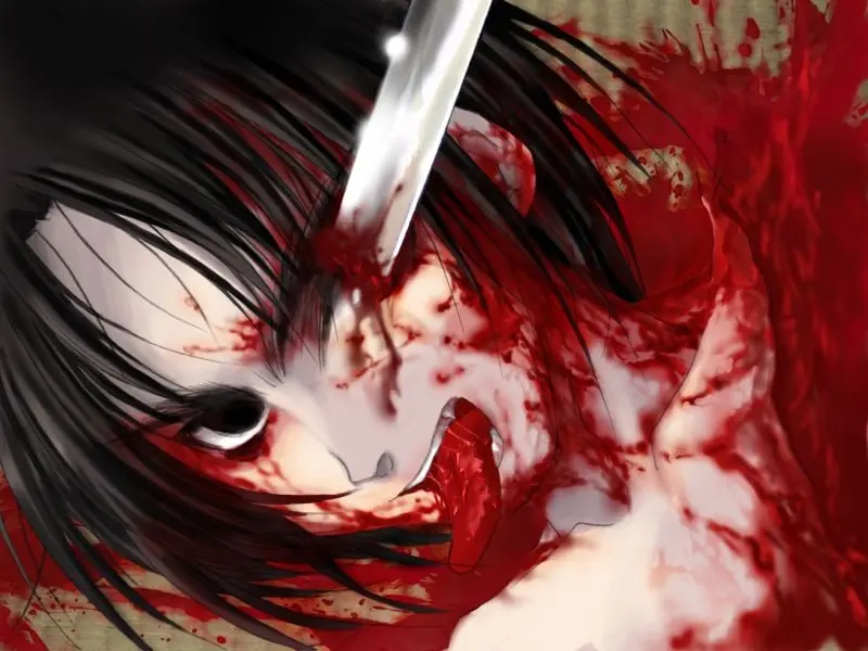 图片[1]-二重影（PC端） | 羽翼社-羽翼社