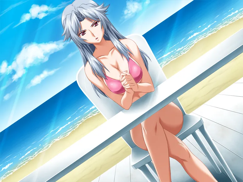 Hide Mind（KRKR＋PC端）