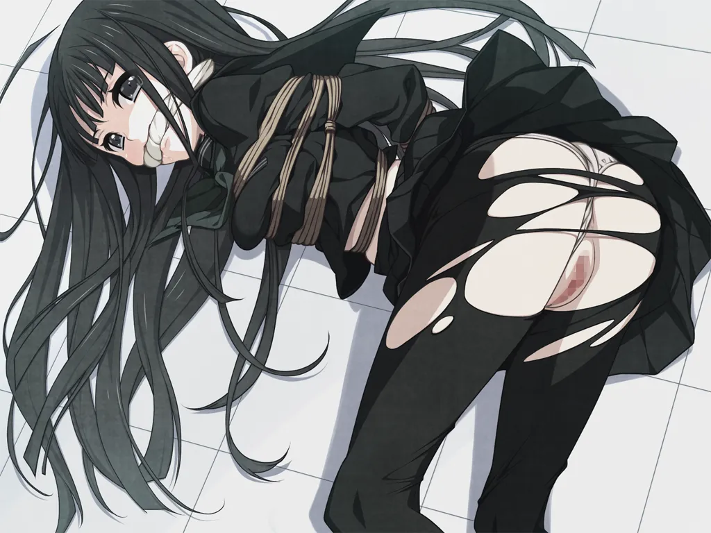 乐园之扉 euphoria（PC端）-羽翼社