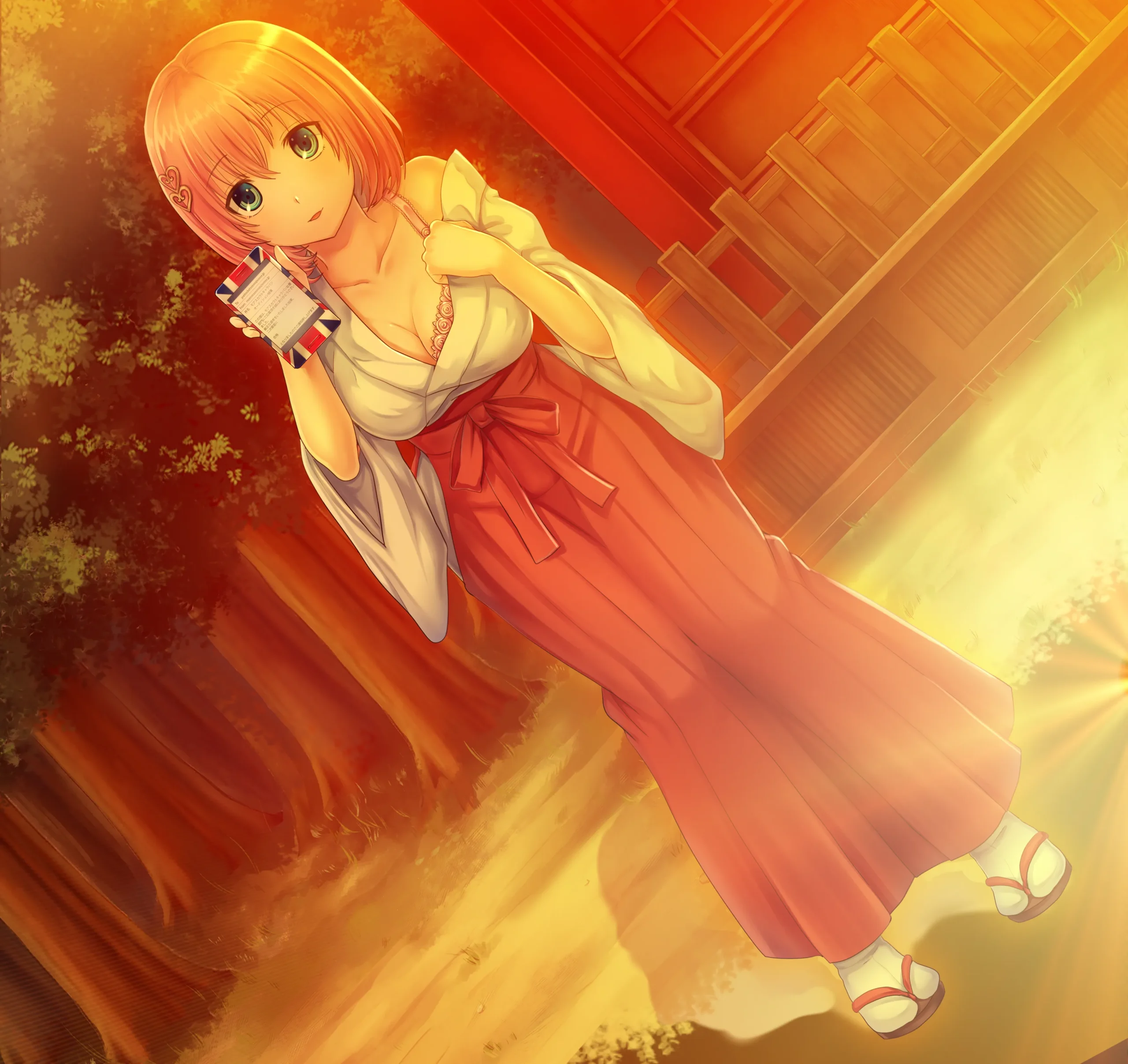 菖蒲的城镇与公主（KRKR＋PC端）