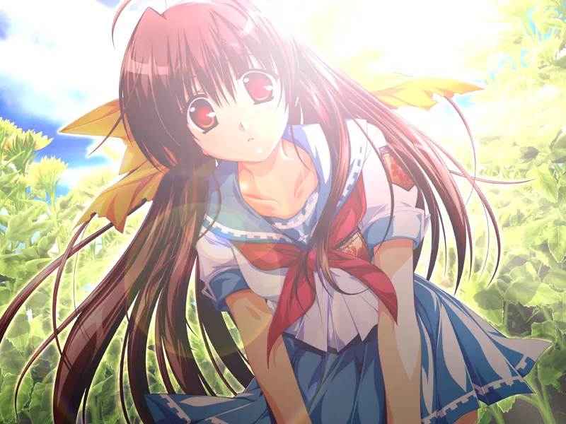 车轮之国 向日葵的少女（安卓直装＋KRKR＋Ons＋PC端）-羽翼社