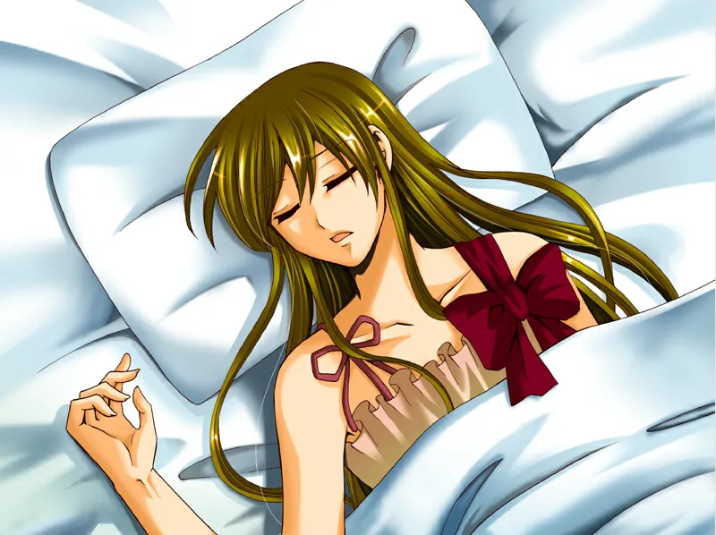 三叶草之国的爱丽丝（KRKR＋PC端）