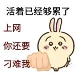 布偶熊的头像-羽翼社