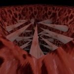 暖暖僾的头像-羽翼社