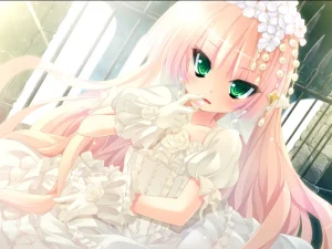 妹选拔总选举2/第二回妹选拔总选举（PC端） | 羽翼社-羽翼社