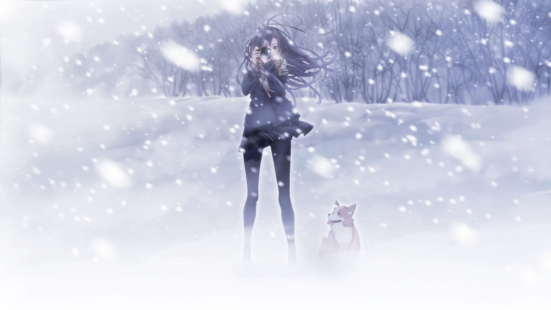 图片[1]-雪色暗号（PC端） | 羽翼社-羽翼社