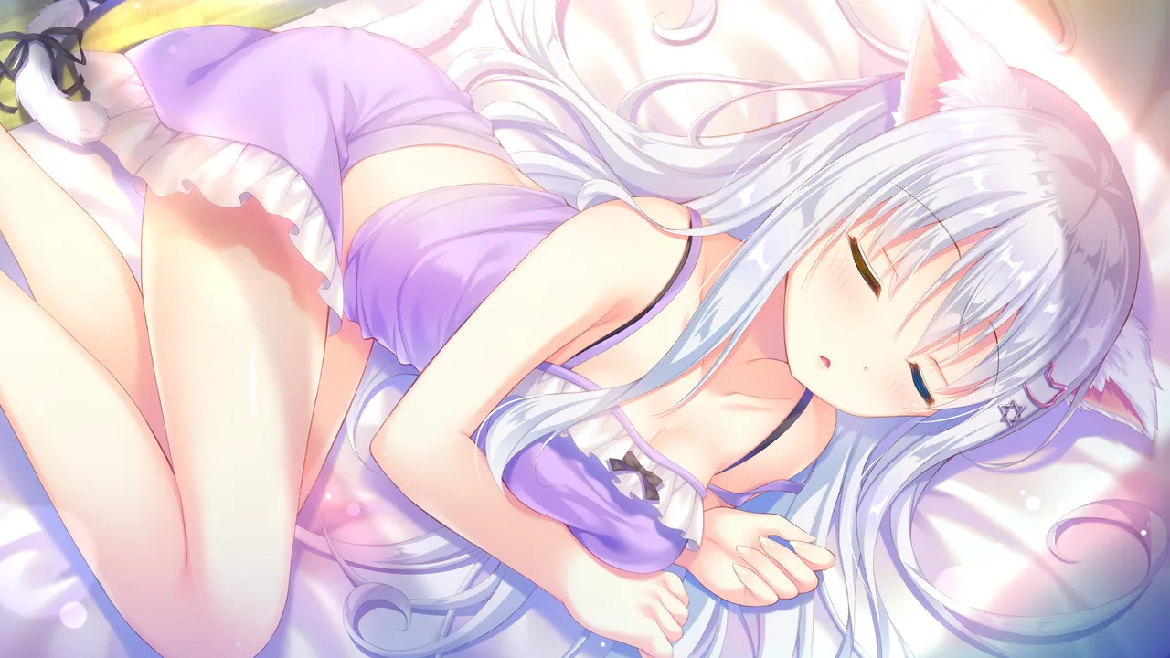 图片[4]-喵咪喵咪喵（PC端） | 羽翼社-羽翼社