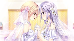 少女缔结的月之光辉 Fullmoon Days（PC端） | 羽翼社-羽翼社