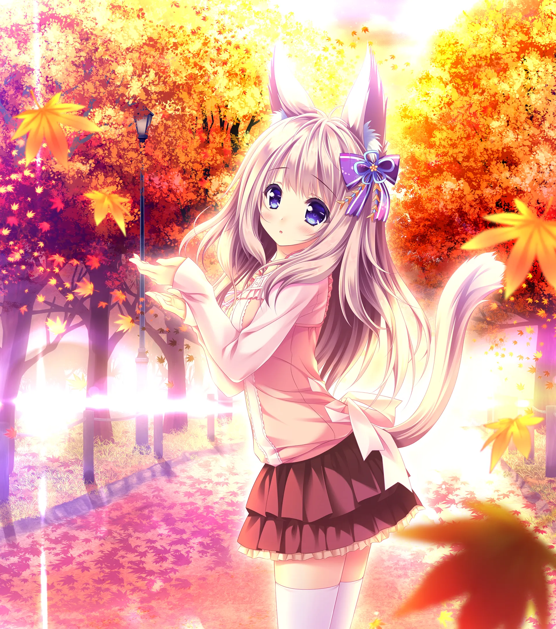 缘染此叶、化作恋红（PC端）