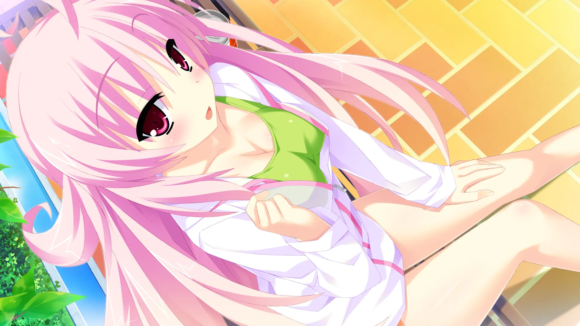 图片[4]-花姬Absolute！（PC端） | 羽翼社-羽翼社