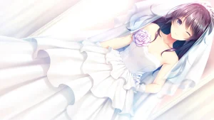 你喜欢的是哪个我呢 ？（PC端） | 羽翼社-羽翼社