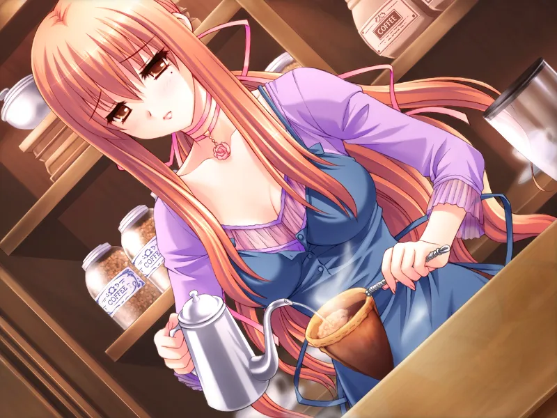 妻中蜜 2/妻みぐい2（PC端）