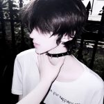 维他的头像-羽翼社