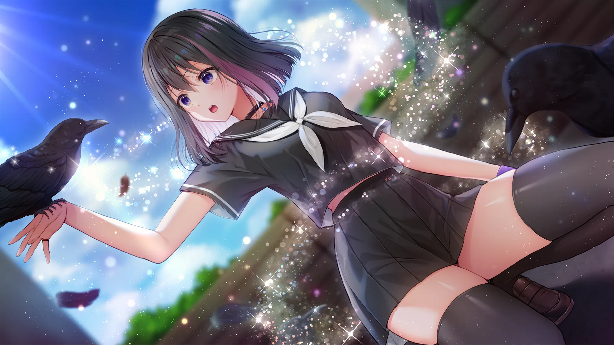 图片[7]-スカイコード（PC端） | 羽翼社-羽翼社