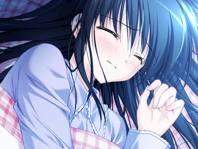 图片[3]-Aster（PC端） | 羽翼社-羽翼社