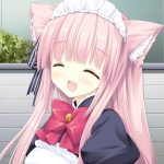 白鸟杏的头像-羽翼社