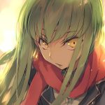 领地宁宁的头像-羽翼社