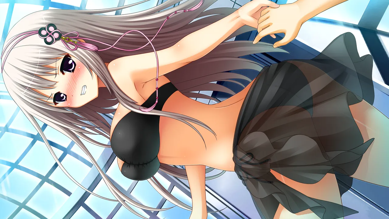 图片[11]-正负战争（KRKR＋PC端） | 羽翼社-羽翼社