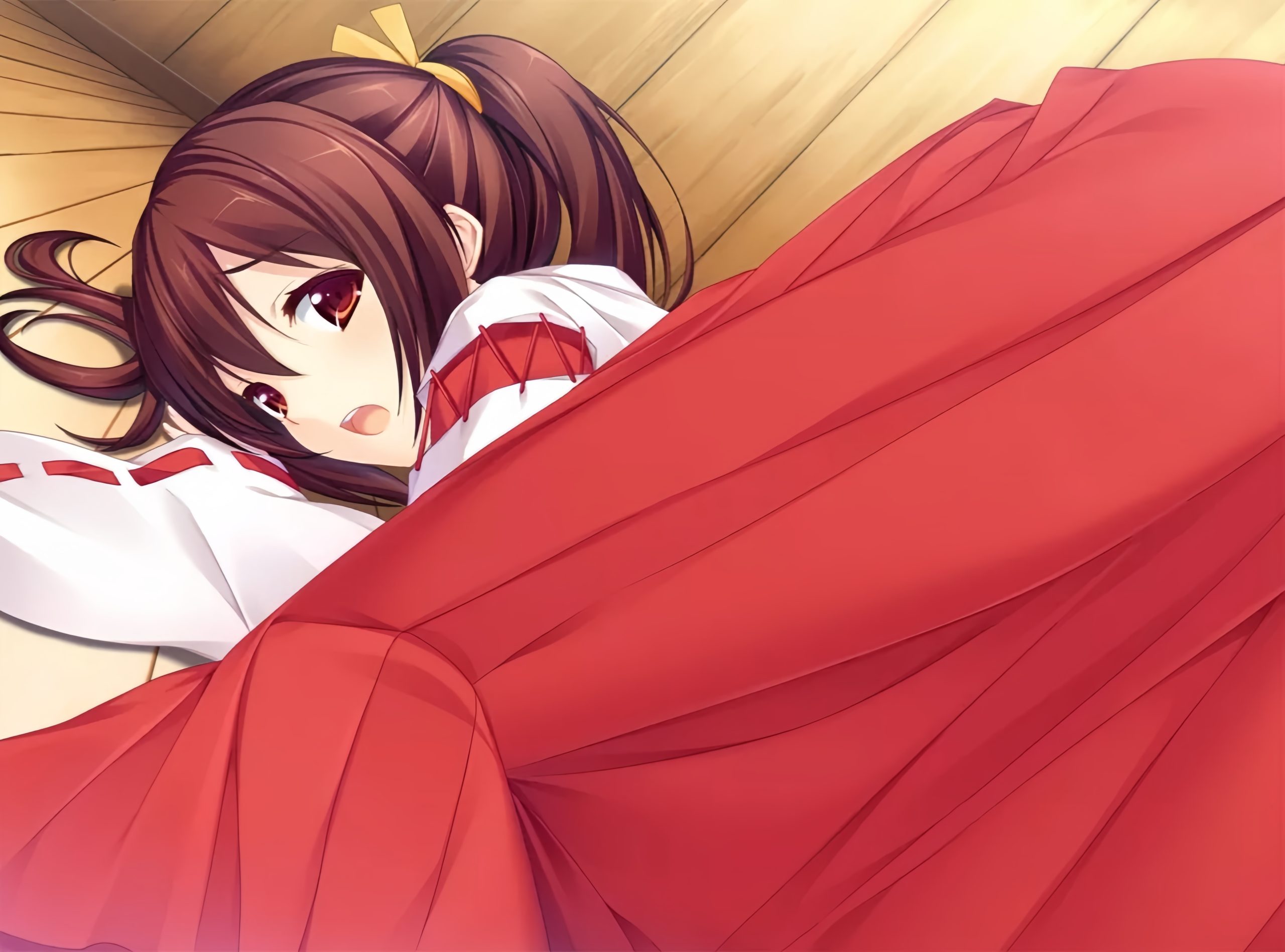 e91e12176e20250213223945