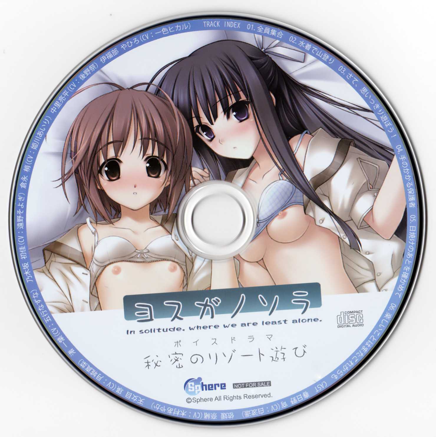 缘之空PC（包括音频），天穹之缘（原创图），4张春日野穹同人图，缘之空主线3D剧情版-羽翼社