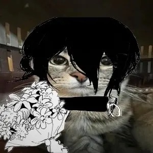 枕露夜栖的头像-羽翼社