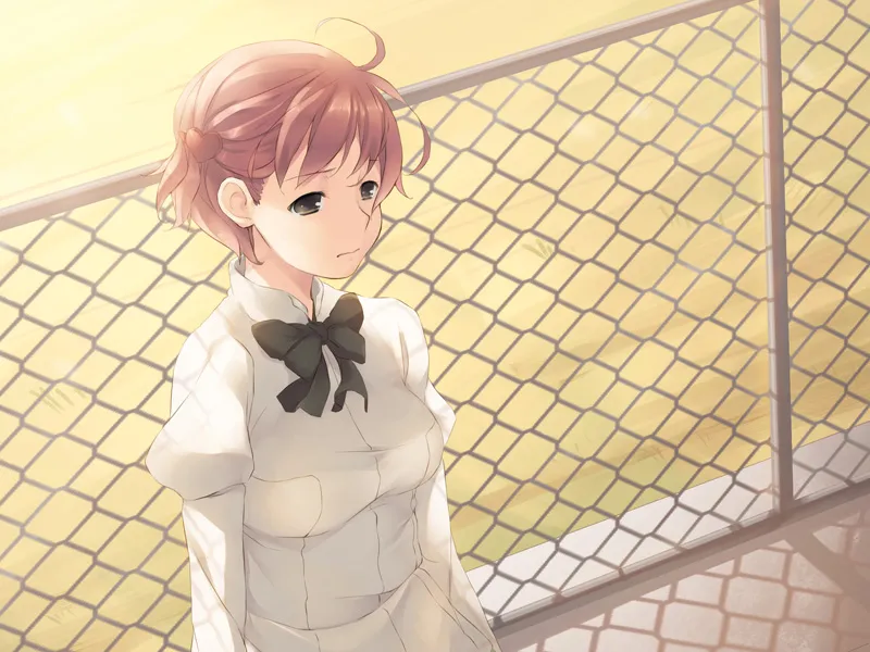 图片[5]-片轮少女 かたわ少女（PC端） | 羽翼社-羽翼社