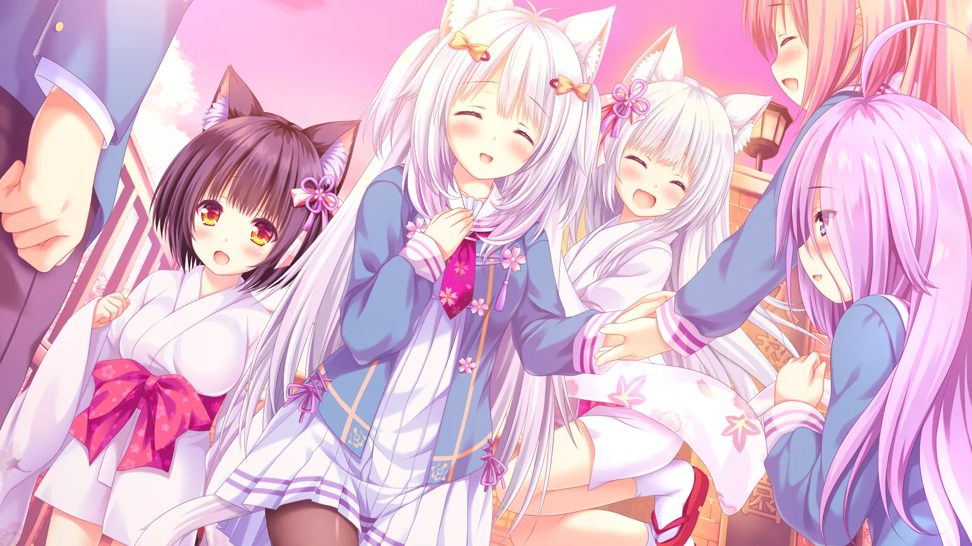 图片[10]-猫咪相随★恋樱纷飞（PC端） | 羽翼社-羽翼社