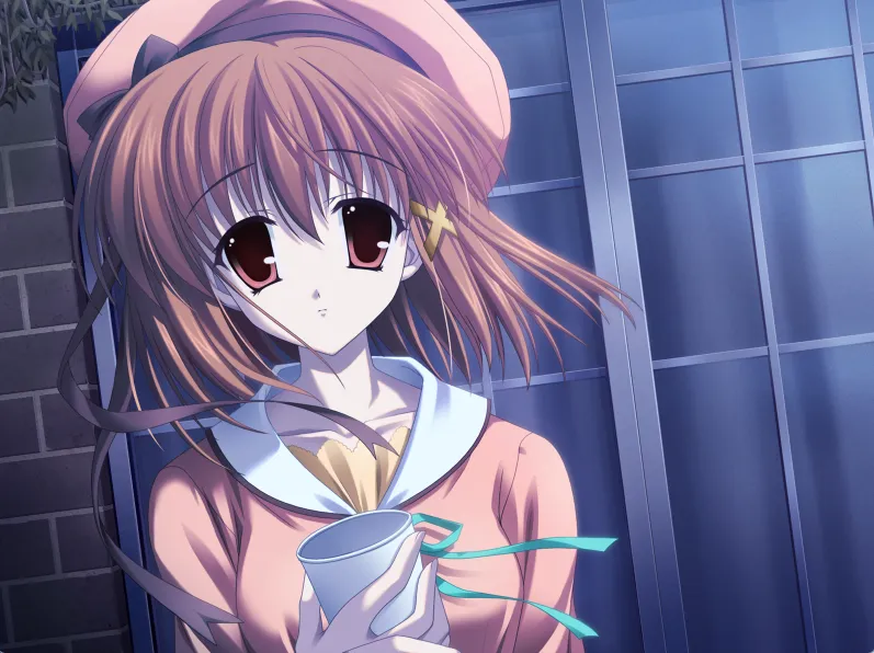 Gift/永不消失的彩虹（PC端）-羽翼社