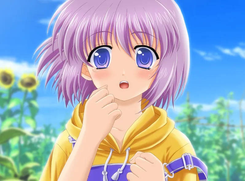 图片[2]-波子汽水（PC端） | 羽翼社-羽翼社