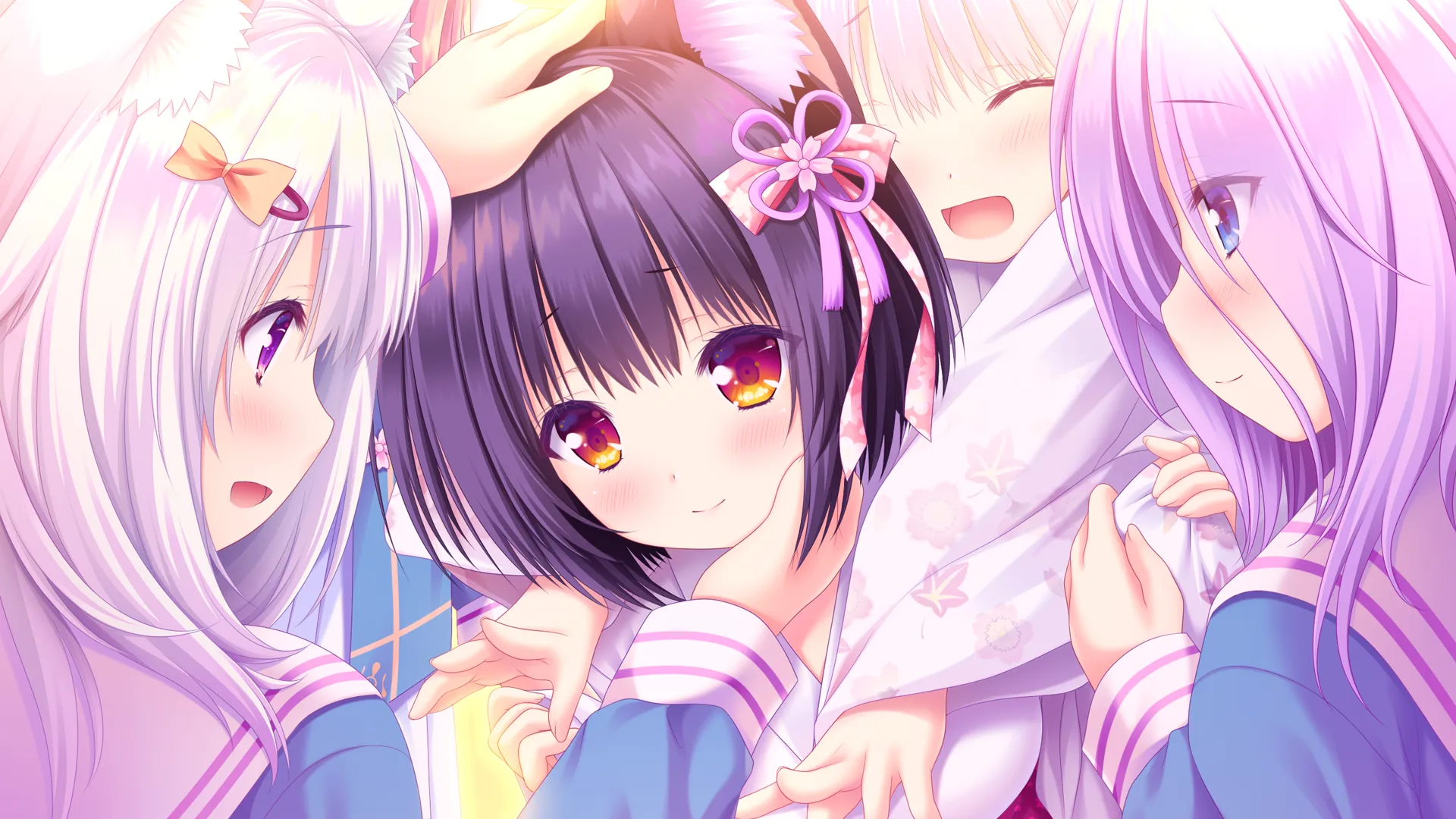 猫咪相随★恋樱纷飞（PC端）