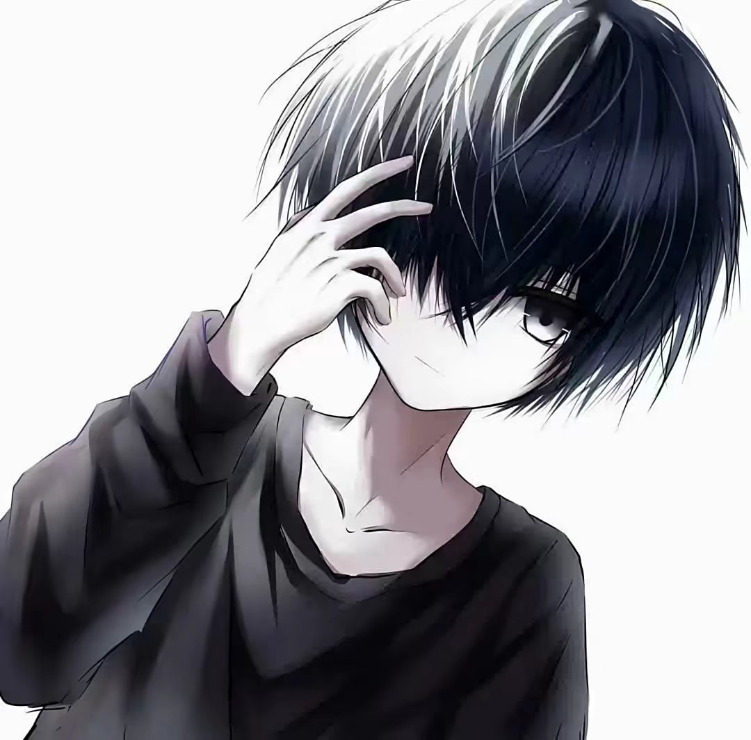 十七s的头像-羽翼社