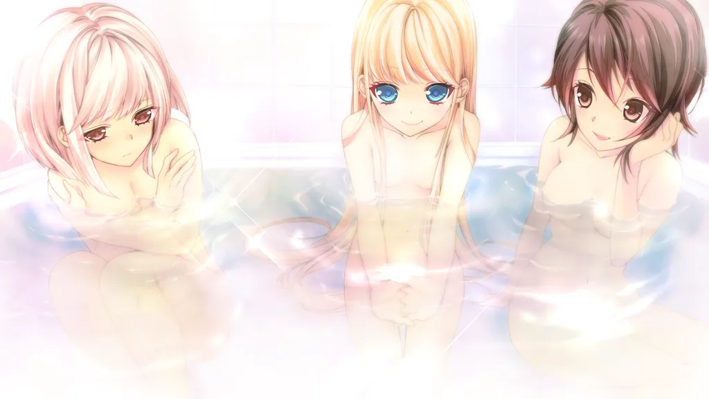 愿望的碎片与白银契约者（PC端）-羽翼社