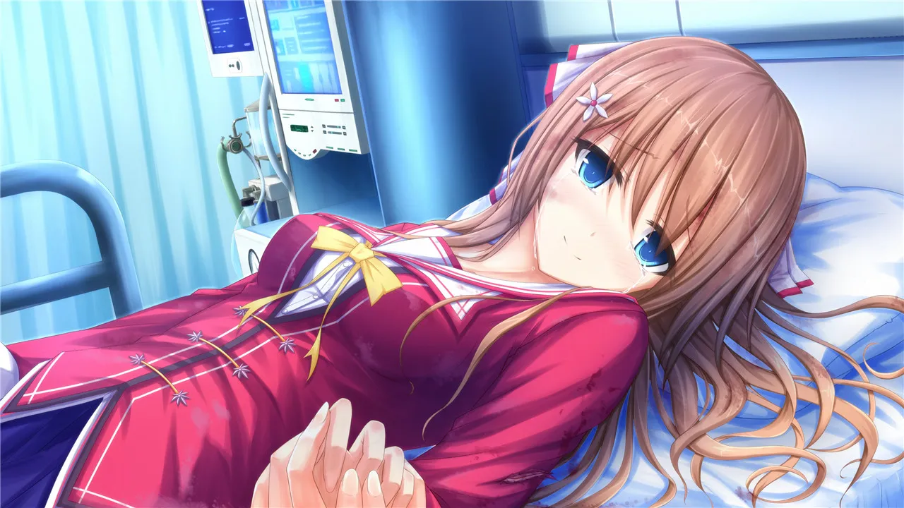 图片[1]-真恋~寄语枫秋（PC端） | 羽翼社-羽翼社