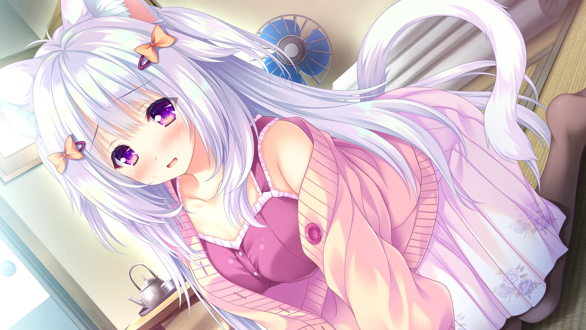 图片[8]-猫咪相随★恋樱纷飞（PC端） | 羽翼社-羽翼社