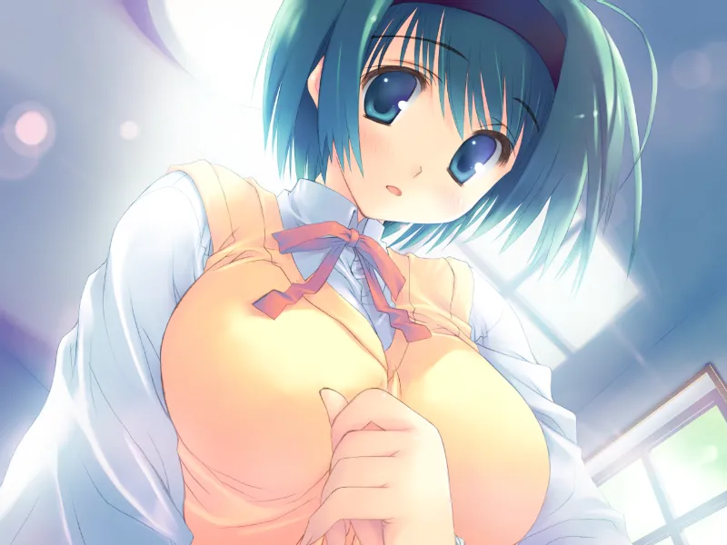 ToHeart2 AnotherDays/心之彼端2 另一天（PC端）-羽翼社