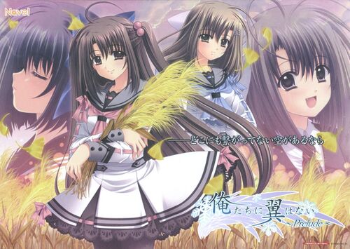 求galgame一款-羽翼社