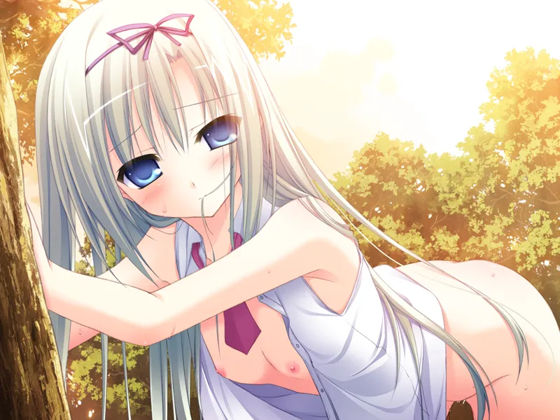 魔骑艳光☆蕾蒂安特（KRKR＋PC端）-羽翼社