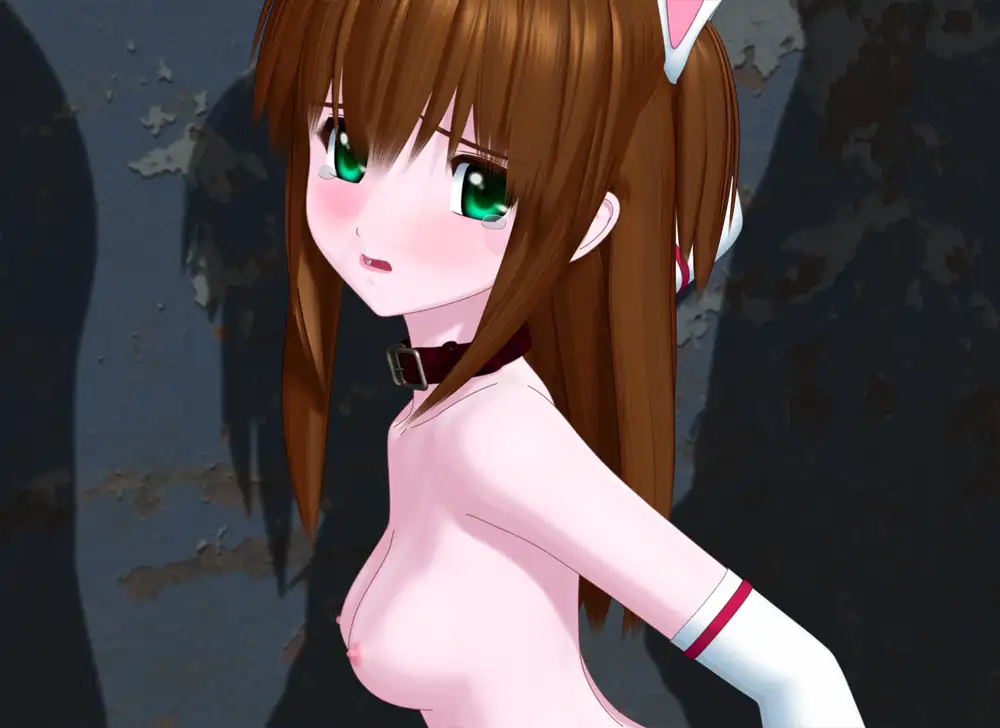 服从的魔法战士1/服从の魔法战士1（安卓直装＋PC端）-羽翼社