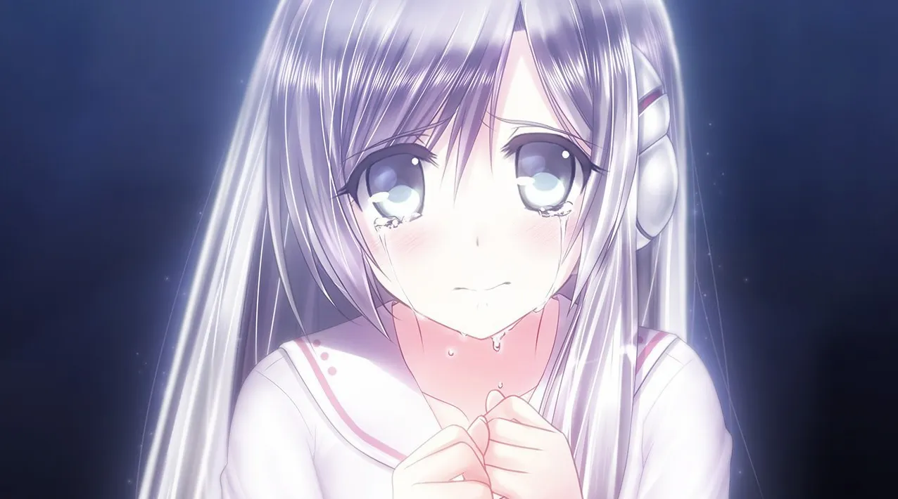 她所期望的一切（PC端）-羽翼社