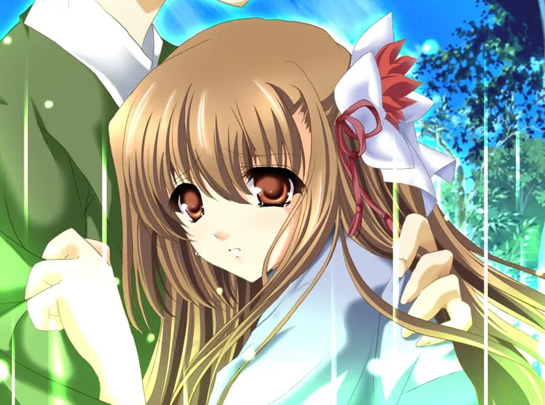 夏之灯火-夏の燈火（PC端）