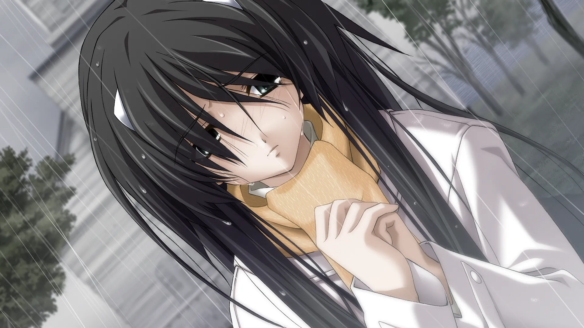 图片[1]-秋之回忆4从今以后_Full_HD/秋之回忆：从今以后 FULL HD（PC端） | 羽翼社-羽翼社